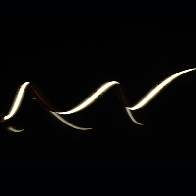 Panel Aluminium Bebas Titik COB LED Strip Dengan 528 LED Pada Pita 10mm Dan 2700K/6500K Warna